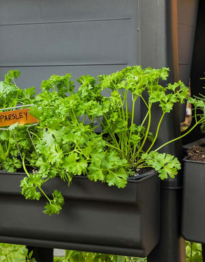 Grow more herbs or fruit without having to increase your planting footprint. Our 2-pack side trays offer more growing space on the side of your PopUp Garden.