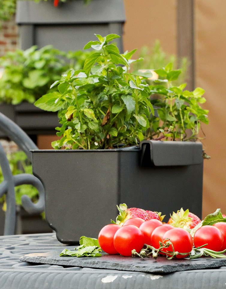 Grow more herbs, flowers, or fruit without having to increase your planting footprint. PopUp Garden planting box trays offer more growing space. 