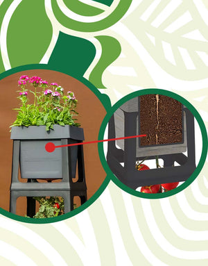 PopUp Garden vertical planter systems have a patented technology that offers a downward growth feature that allows gardeners to grow plants downward like tomatoes or other vine-based vegetables.