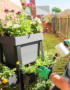Small yards and condos have met their match when it comes to gardening. PopUp Garden maximizes the growing opportunities with one planter. Grow up, down and all-around. Grow multiple veggies, herbs, or fruit in one planter box. 