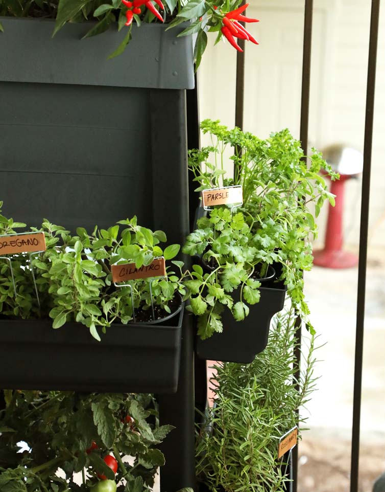 
            
                Load image into Gallery viewer, Grow more herbs or fruit without having to increase your planting footprint. Our 2-pack garden potting side trays offer more growing space on the side of your PopUp Garden.
            
        